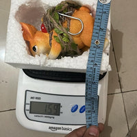 Charming Garden Rabbit For Decoration